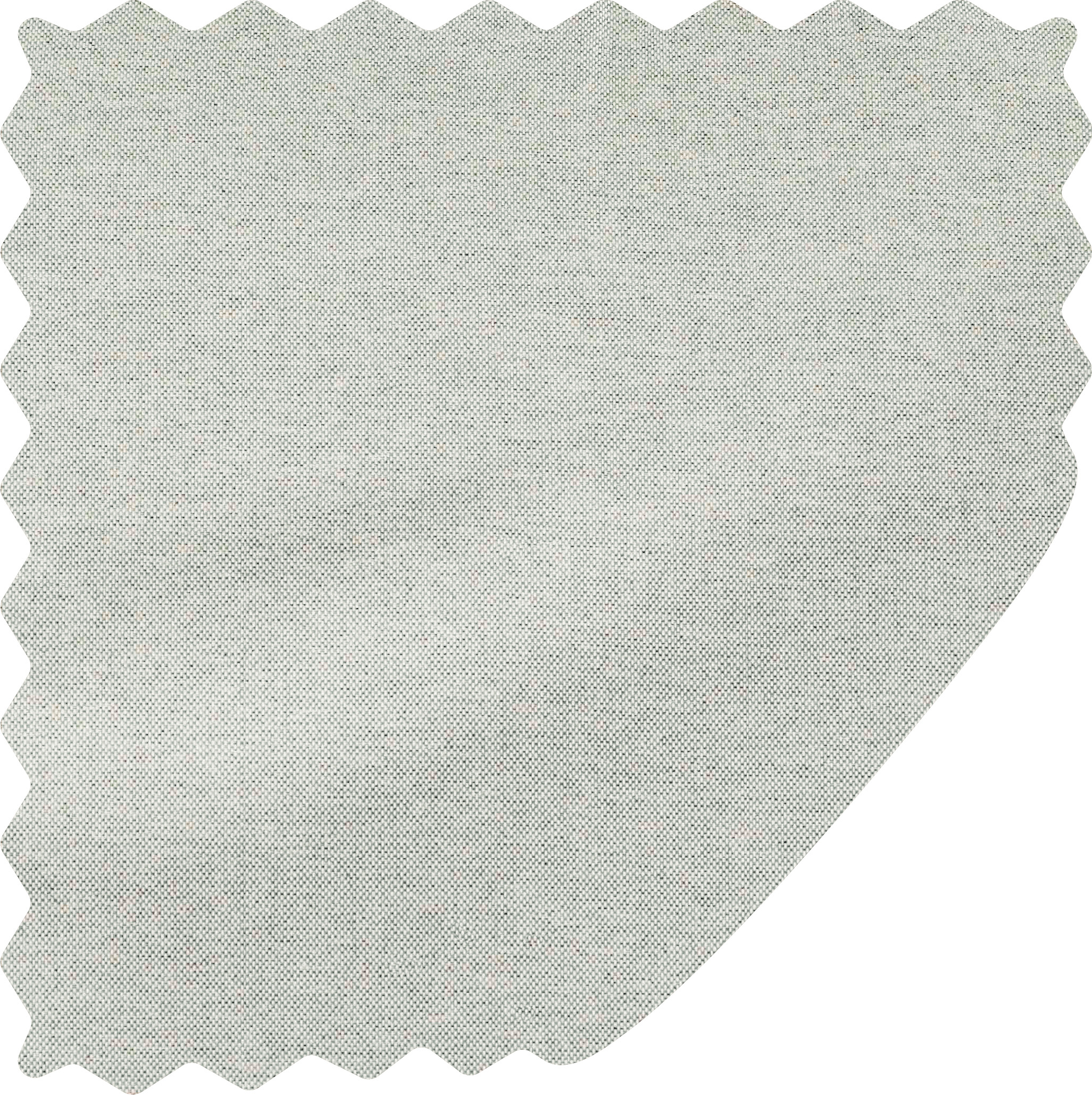 Shell Canopy